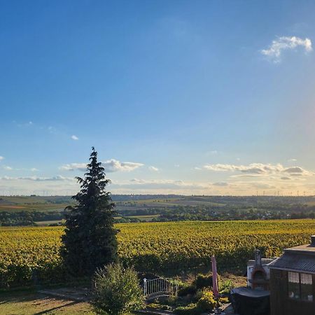 Monteurwohnung Ha-Wei -90 M2 Hangen-Weisheim Zewnętrze zdjęcie