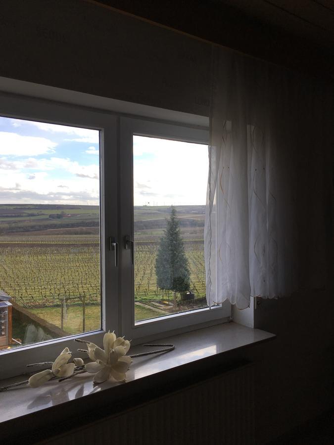 Monteurwohnung Ha-Wei -90 M2 Hangen-Weisheim Zewnętrze zdjęcie